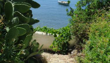 Villa Mimosa Poros Beachfront Apartment - Foto 5, Garden