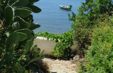 Villa Mimosa Poros Beachfront Apartment - Foto 5