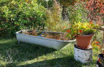 Haus Am Waldesrand - Foto 20