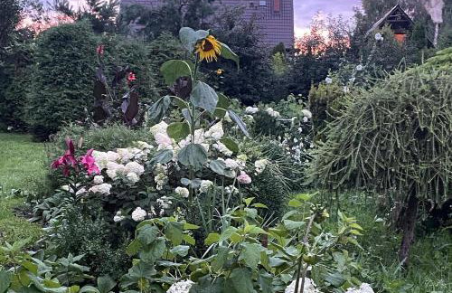 Apartament Loftowy- Bory Tucholskie - Foto 18