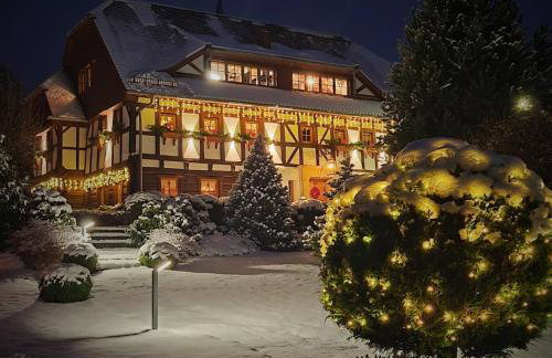 Szwajcarski Dworek - Foto 67