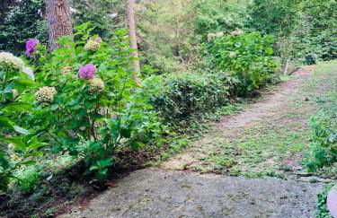 Peaceful Country Living at Apartments at Villa Clara - Foto 49