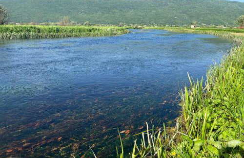 Holiday Home Božica - Photo 69