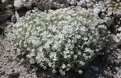 Residenza La Torre - Foto 49