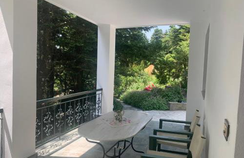 Forest cottage top of the world - Foto 21