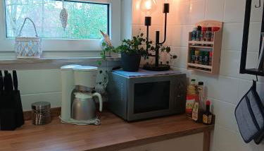 Apart Lachmöwe - Foto 3