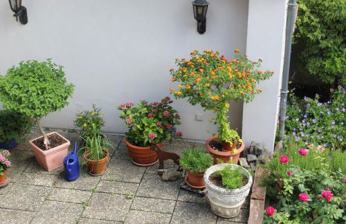 Auszeit im Rheingau - Foto 6