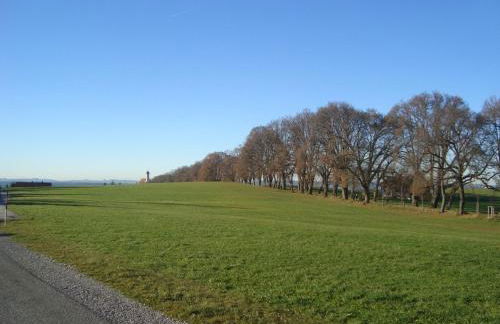 Gästehaus Beranek - Foto 5