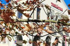 L'aT3lier d'Orthez - Foto 18