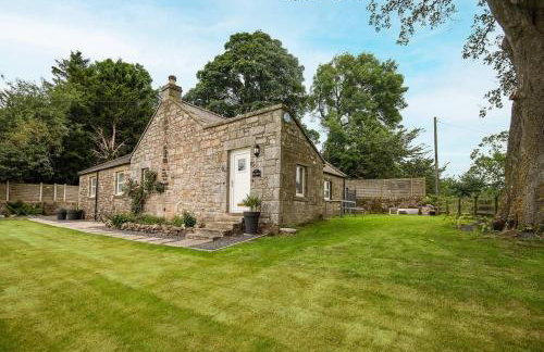 The Old School - Foto 20