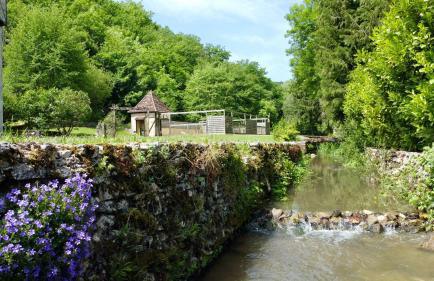 Le gîte du Moulin de la Garrigue - Foto 7