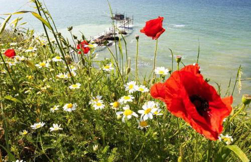 Appartamento vista mare - Foto 31