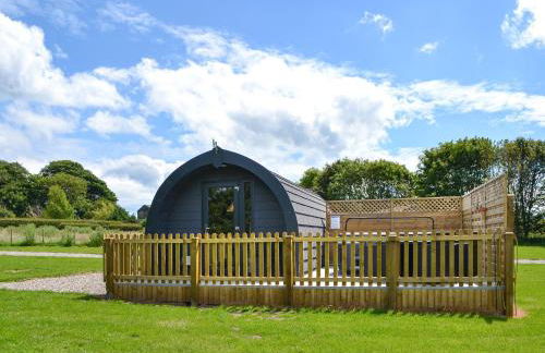 Sycamore - Uk47621 - Foto 1