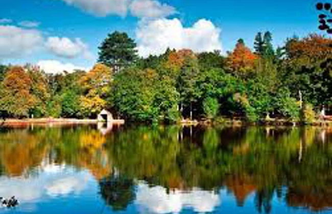 Stunning 2-bed Apartment in Crawley - Foto 13