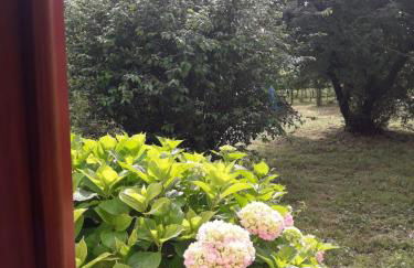 Tenuta Crescentini-ValleMura ,appartamenti con entrata indipendente - Foto 66