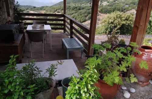 The Artist's House - Photo 34