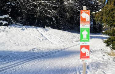 Vogelnescht19 - Foto 31