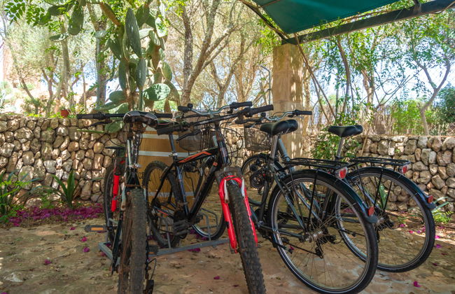 Moli de Son Vidal - Foto 38