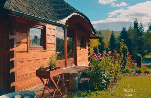 Dzikie południe - Foto 2