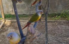 Casa Alegria - Photo 42