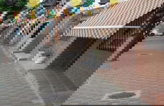 El cordobes - Foto 10