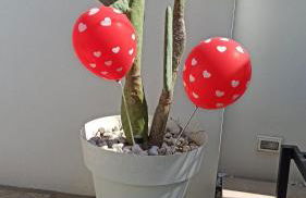 Borgo San Giovanni Luxury - Foto 67