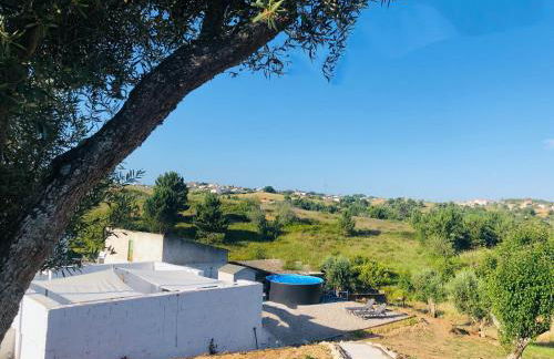 Casal Regina - Foto 22