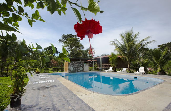 Pokakempi Tours - Foto 9