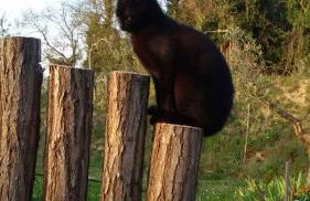 Agriturismo L'isola - Foto 11