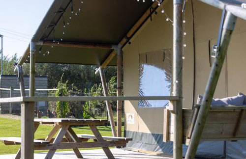 The Pig Arc - Foto 55