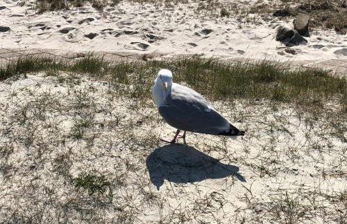 Ferienhaus am Rathaus - Foto 29