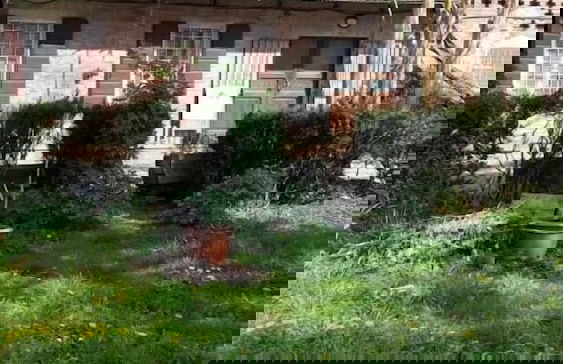 Agriturismo Dosso al Porto - Foto 48