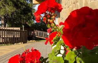 Królewna Śnieżka - Foto 31