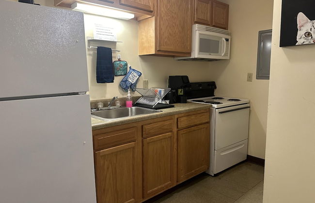 2 Bedroom 2 Bath Apartment Heart of Downtown PIT - Foto 1