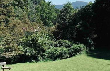 Romantic Chalet w/ Hot Tub close to Roan Mountain - Foto 16