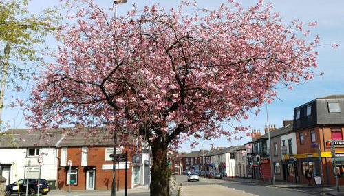 Spacious Apartment Near Rochdale Centre Train Tram Bus Free Parking Fast Wi-Fi - Foto 3