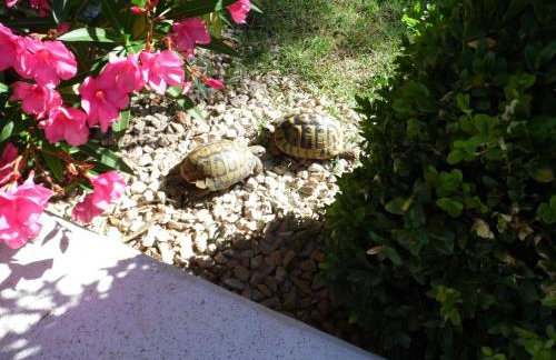 Holiday Home Villa Romantica - Foto 39