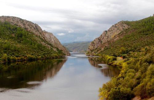 Casas do Almourão - Foto 74