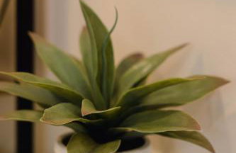 Rainforest Retreat 20m to NYC Parking Sleeps 25 - Foto 17