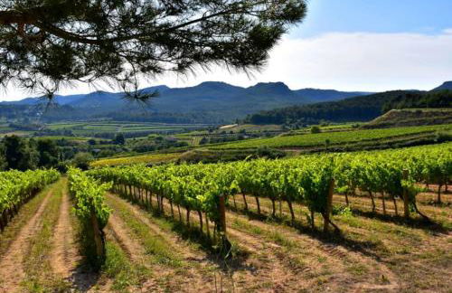 Alt Penedes, terra de vinya, sol, aigua i muntanya - Foto 50