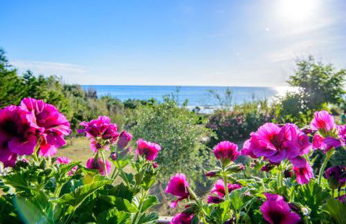 Villa Saline - Foto 28