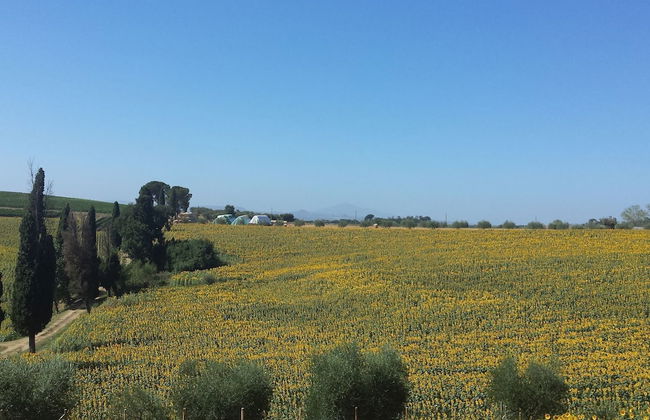 Rustic Charm, Modern Comfort - Foto 22