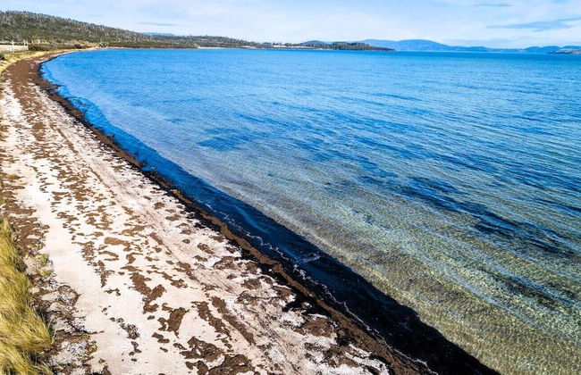 Flotsam Studio Accommodation - Photo 78