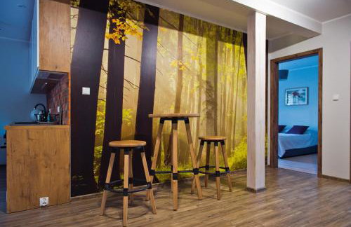 Apartamenty Buczyna w Sierakowie - Foto 54