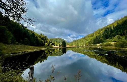 Chalet Des Feignes - Photo 44