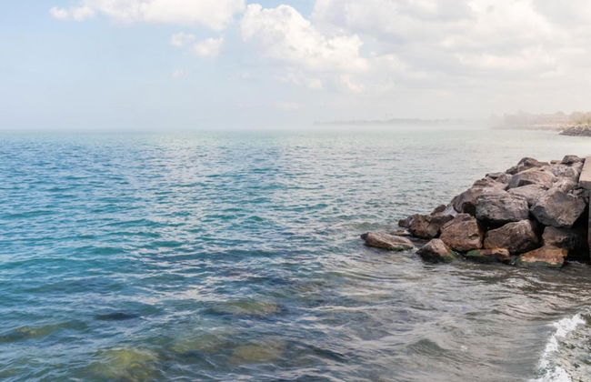 Lakeshore 3BR 2 5BA Townhome 1 min to the Beach - Photo 69