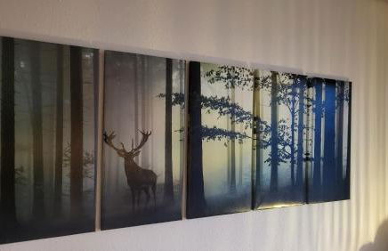 FeWo Gretel Schönwald - Foto 16