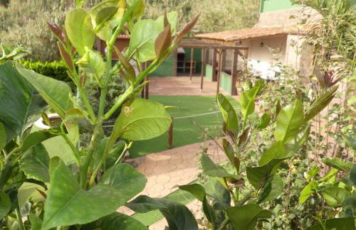 Holiday Home El Brezal - Foto 40