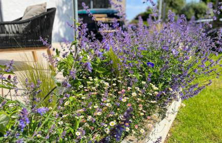 Beautiful Rural Cottage by the Coast - Foto 30