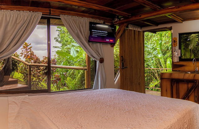 Cabañas Caeli Rainforest Glass Cabin El Congo La Fortuna - Foto 10